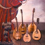 Mandolin Family