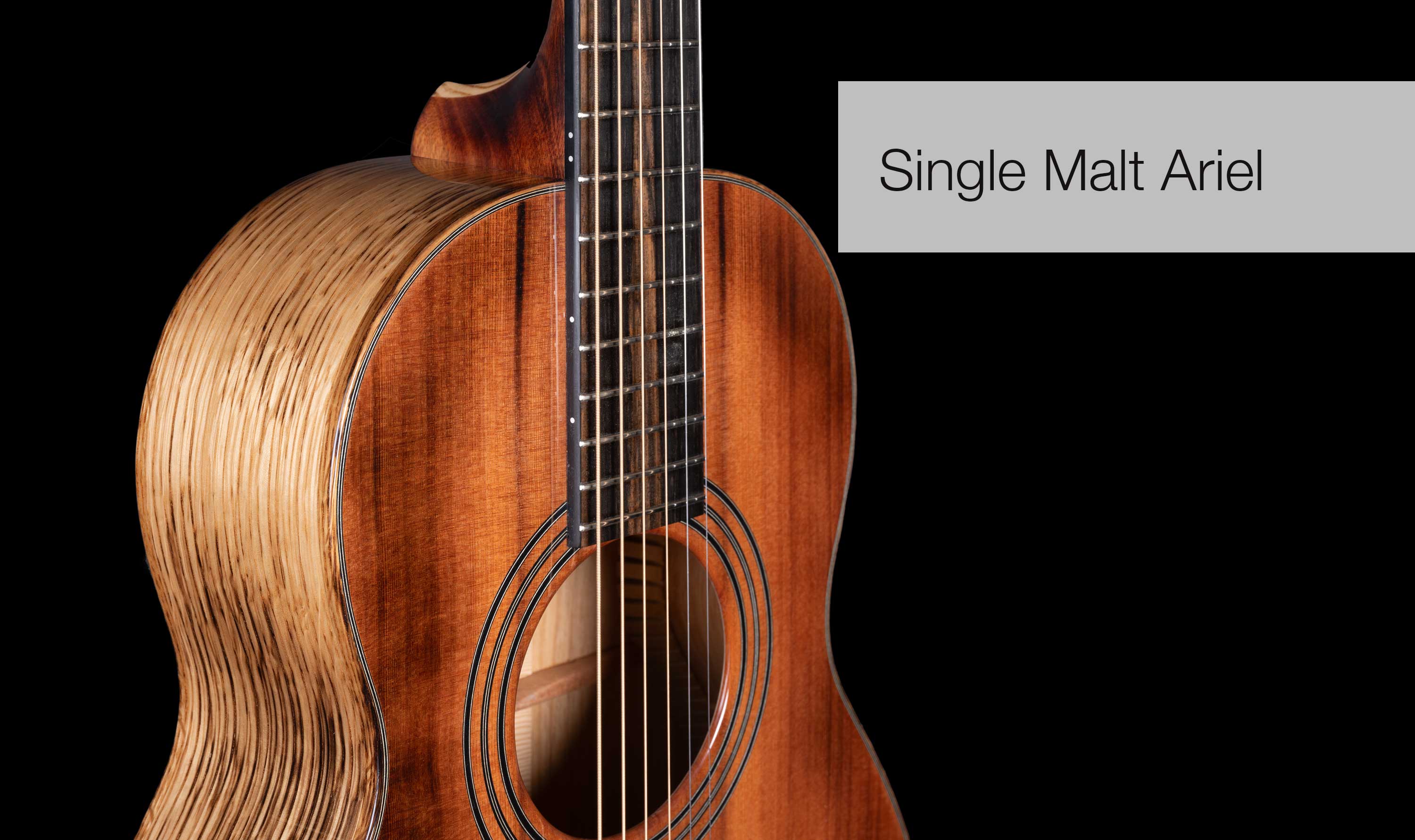 Welcome to Fylde Guitars Newsletter