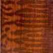 32_Snakewood